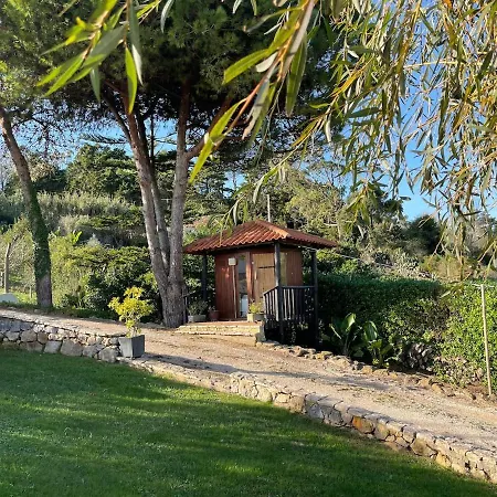 Private With Pool & Jacuzzi, Bbq & Pizzaoven Santo Isidoro