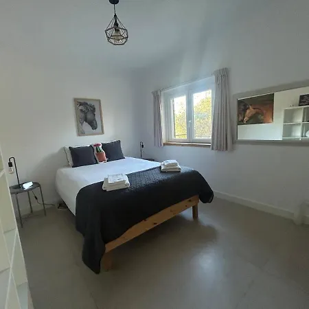 Private With Pool & Jacuzzi, Bbq & Pizzaoven Holiday home