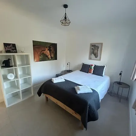Private With Pool & Jacuzzi, Bbq & Pizzaoven Santo Isidoro